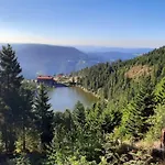 Rehkitz *