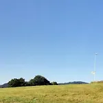 Rehkitz * Baiersbronn
