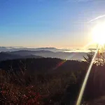 Rehkitz * Baiersbronn