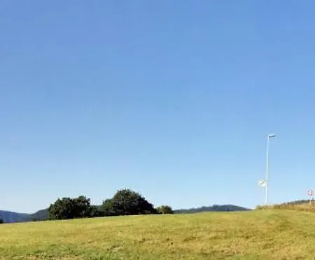 Rehkitz * Baiersbronn