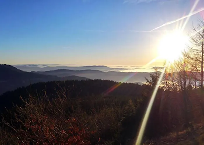 Rehkitz Appartement *