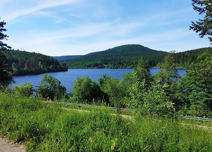 Appartement Rehkitz Baiersbronn